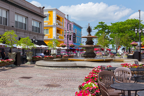 63 De Pasquale Avenue - 1DD